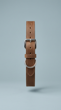 Classic Leather Dog Collar