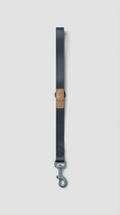 Durable Nylon Dog Lead with Padded Handle